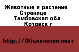  Животные и растения - Страница 12 . Тамбовская обл.,Котовск г.